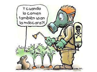 Pesticidas: ¿y cuándo lo comen también usan la máscara?